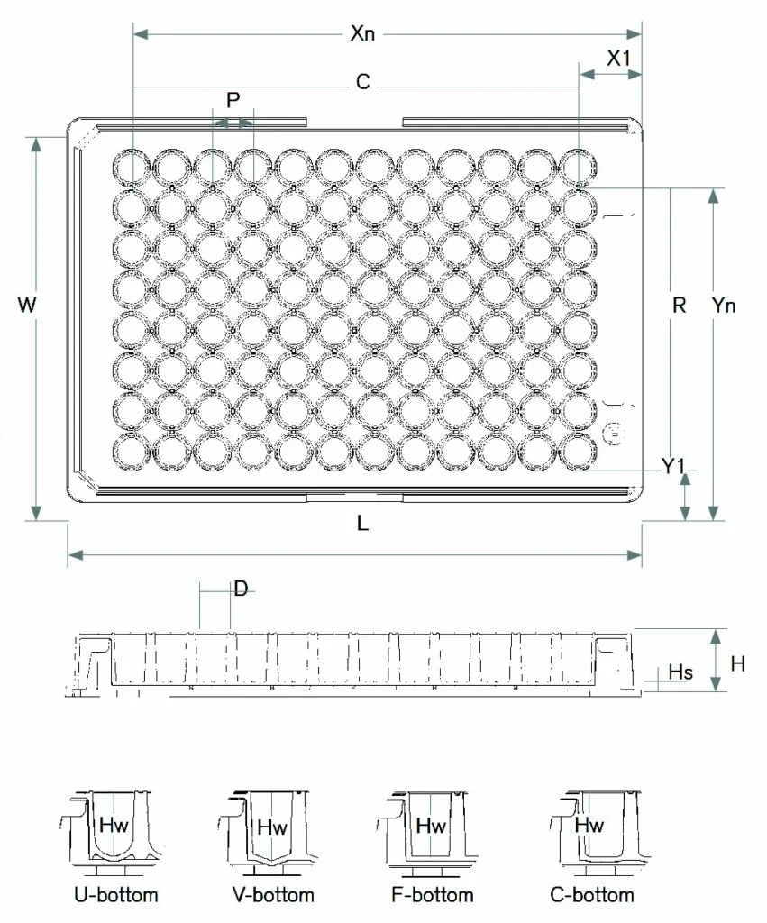 96 Well Plate Dimensions