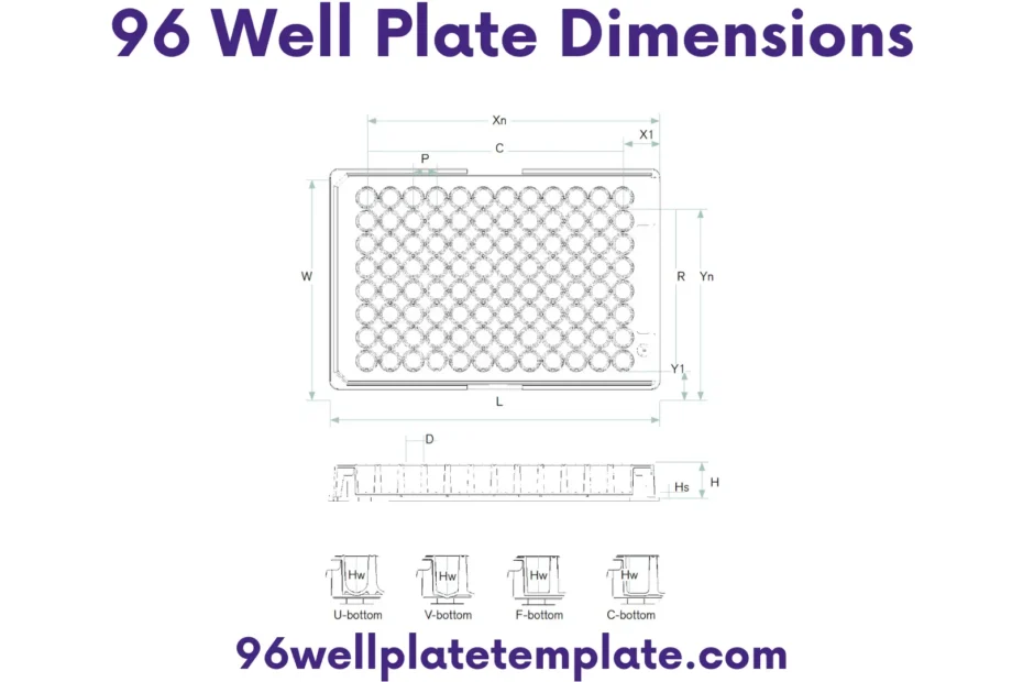 96 Well Plate Dimensions