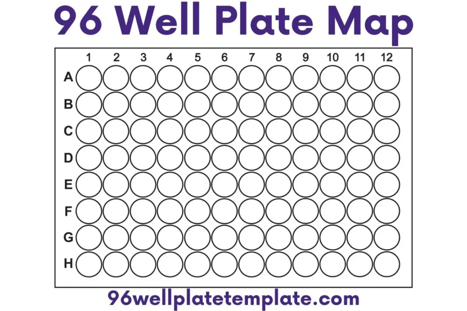 96 Well Plate Map